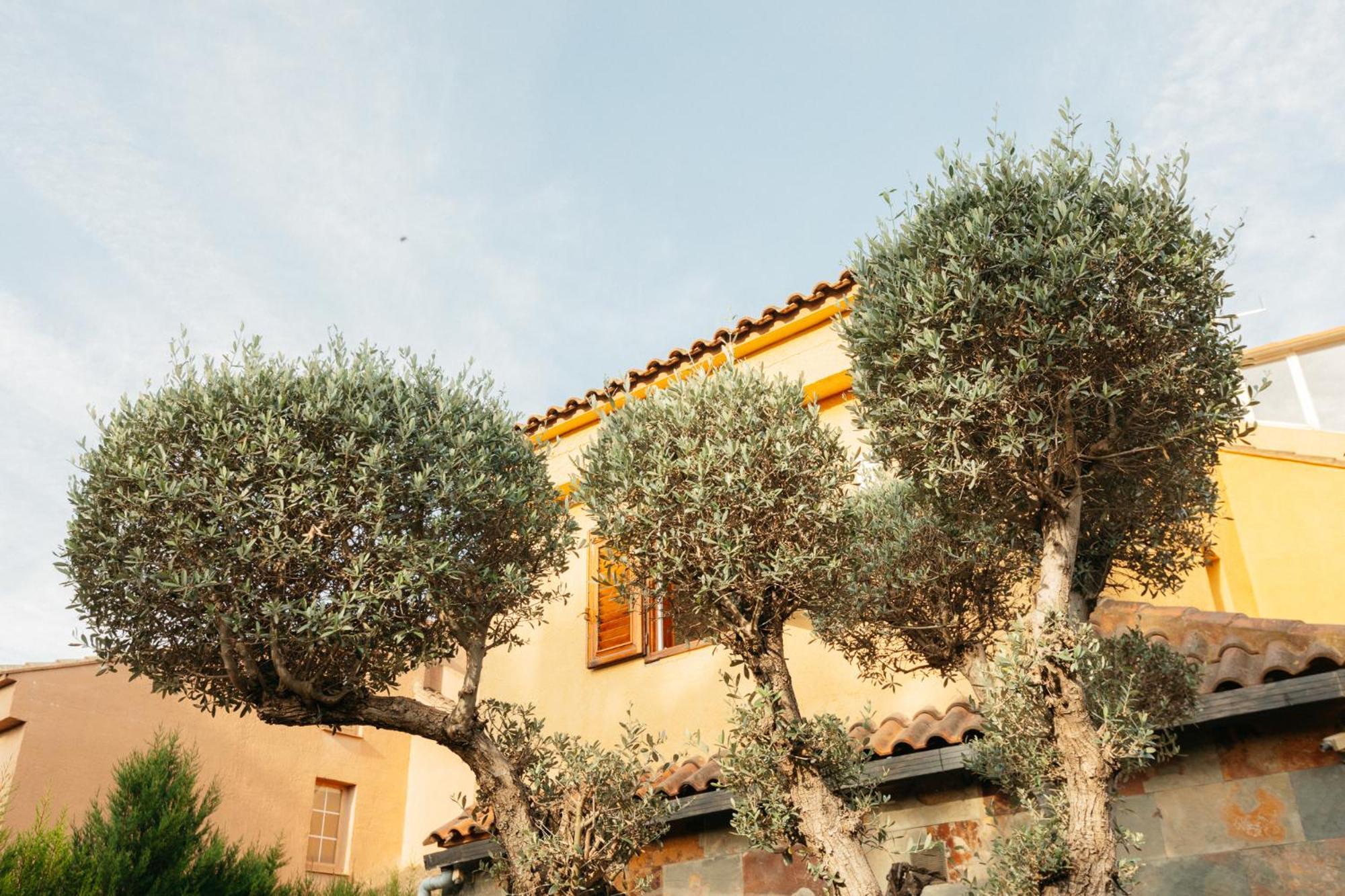 Chalet, Villa Rodeada De Naturaleza Piscina A Doce Klm De Valencia Y 7 Del Aeropuerto ภายนอก รูปภาพ