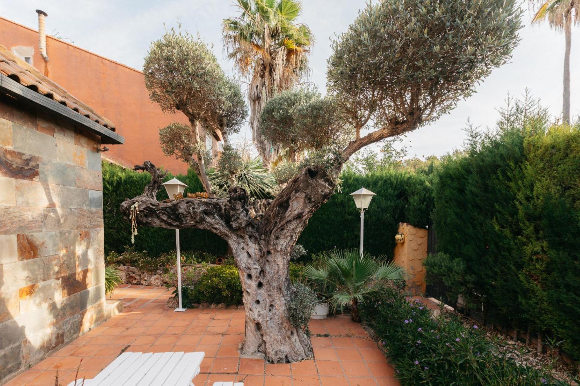 Chalet, Villa Rodeada De Naturaleza Piscina A Doce Klm De Valencia Y 7 Del Aeropuerto ภายนอก รูปภาพ